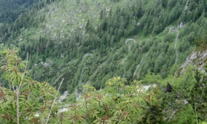 The Dalsenwinkel Road, used to ferry raw materials up to the summit